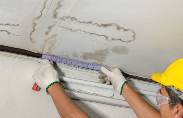 Reliable Structural Drying contractor in Edgerton, KS by Water Damage Irwin